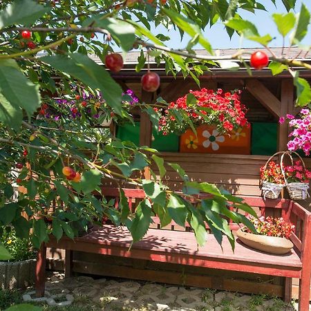 Privat Jonas Villa Strba Bagian luar foto